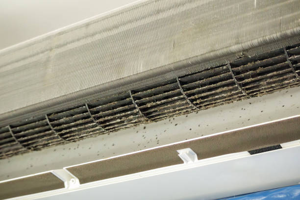 Professional Airduct Cleaning in TX